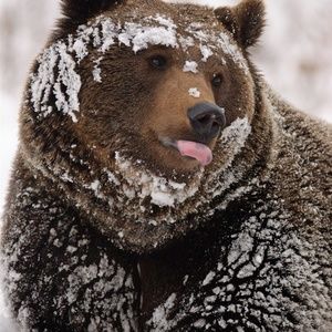 Meet your Posher, Hailey